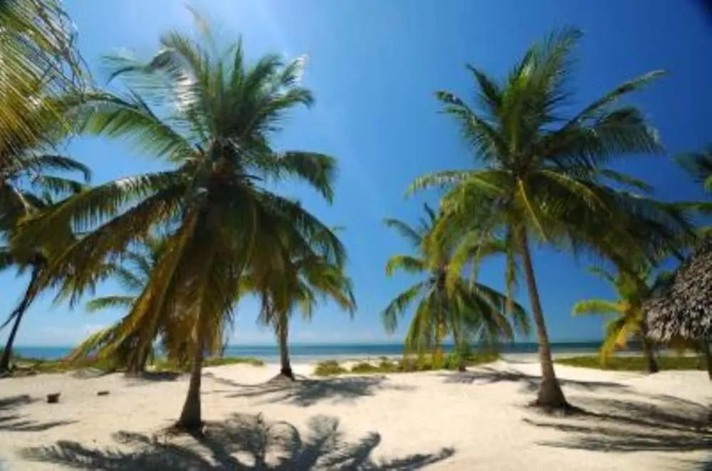 House With 3 Bedrooms in Watamu, With Pool Access, Furnished Terrace a