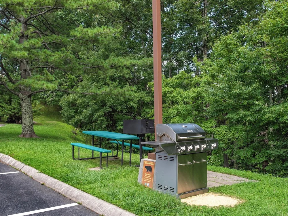 Tucked Inn 2101 by Jackson Mountain Rentals