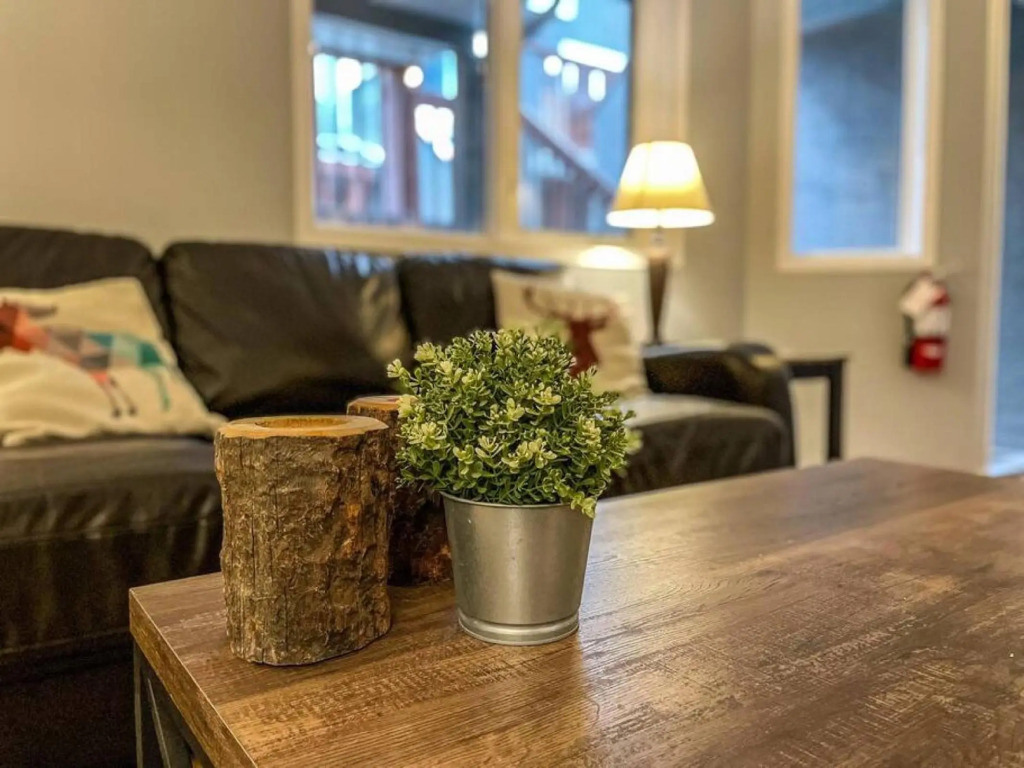 The Norquay, Pet-Friendly 2 Bed with Mtn View