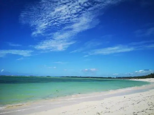 Ocean Lodge Kite & Windsurf