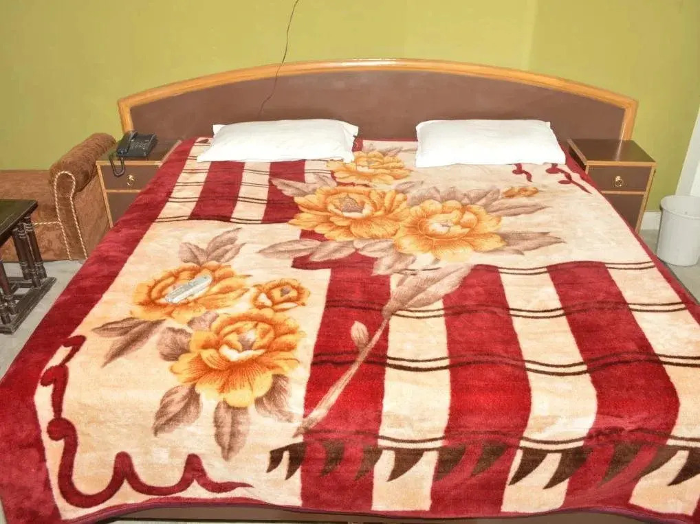 Hotel Sharma Palace