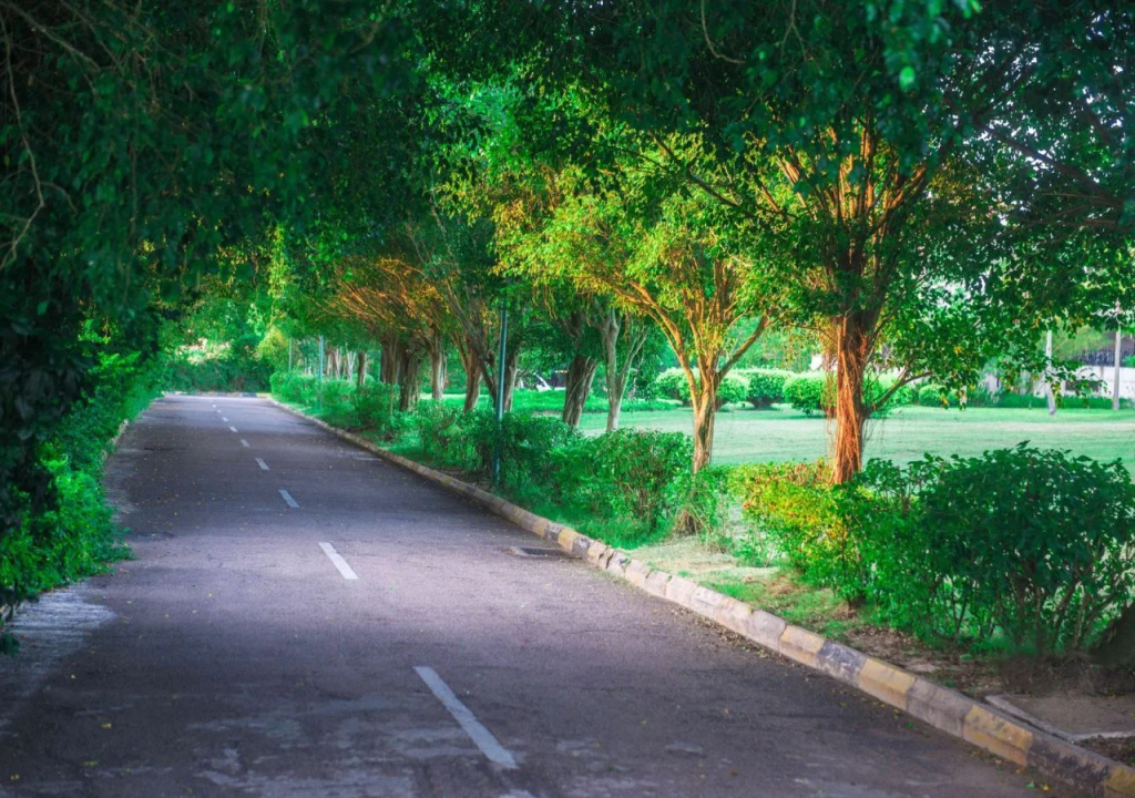 Zhujiang Nantian Resort