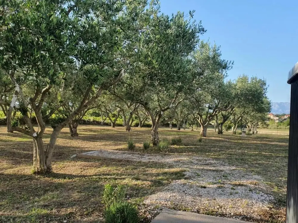 Holiday Home Olive Paradise
