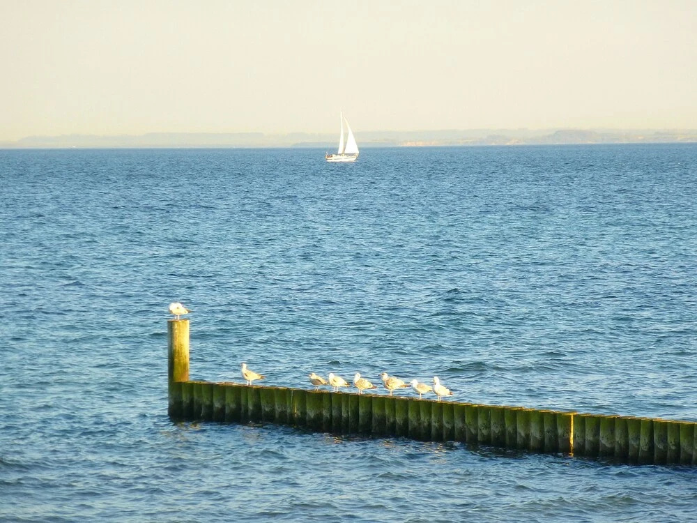 Ferienwohnungen mit "Strandfeeling" Waldstraße 15 Kellenhusen Ostsee