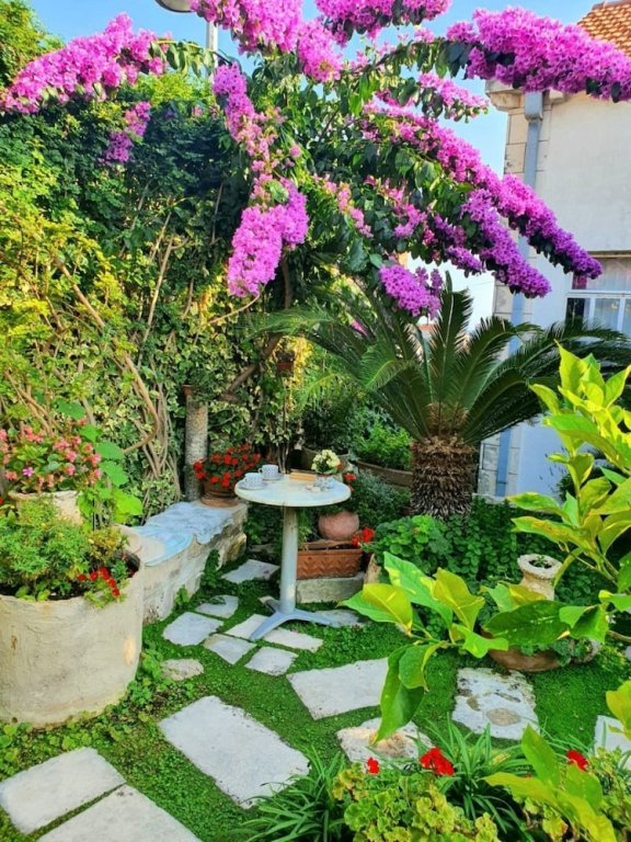 Room Garden