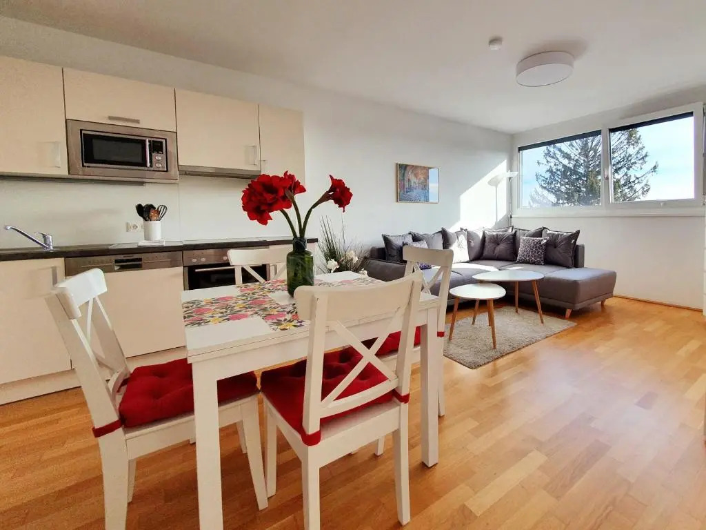 Near Lake Stylish & Fully Furnished Apartment
