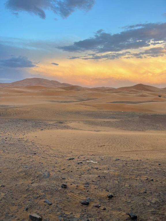 Riad Les jardins de Merzouga