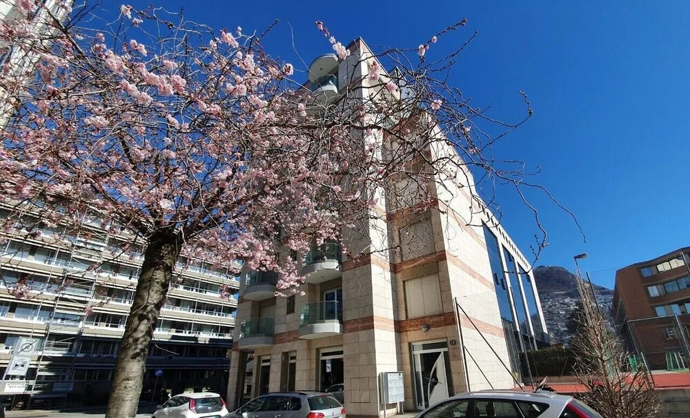 Il Parco 2