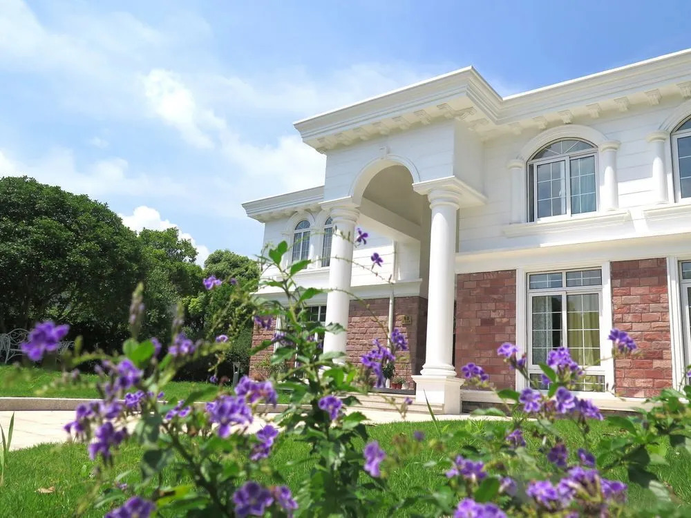 Shang Hai Lan Li Mei Shu