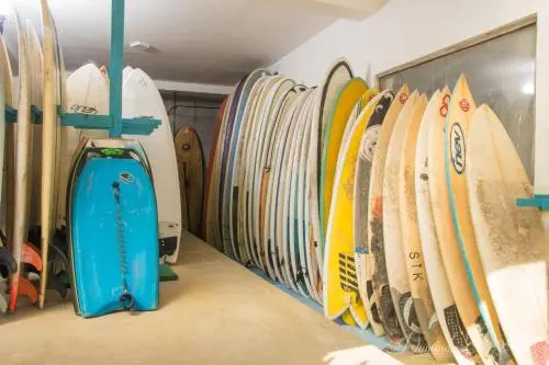 Cheeky Monkey Surf Camp