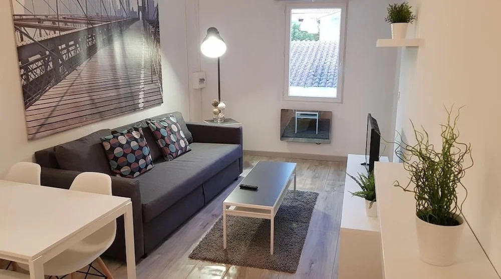 Appartement Hypercentre Revel