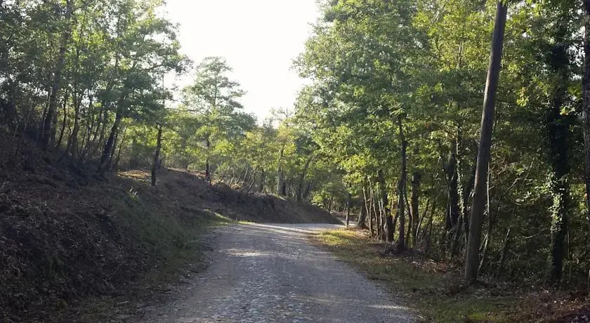 Miralaghi