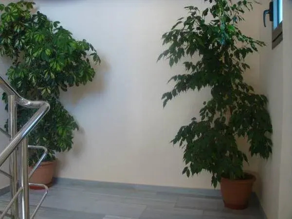 Erdeti Boutique Hotel