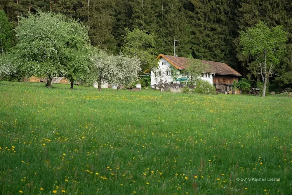 Pension am Waldesrand