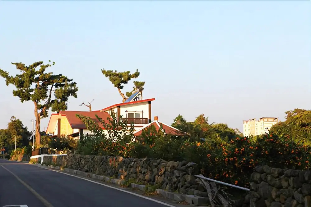 Seogwipo White Castle Pension