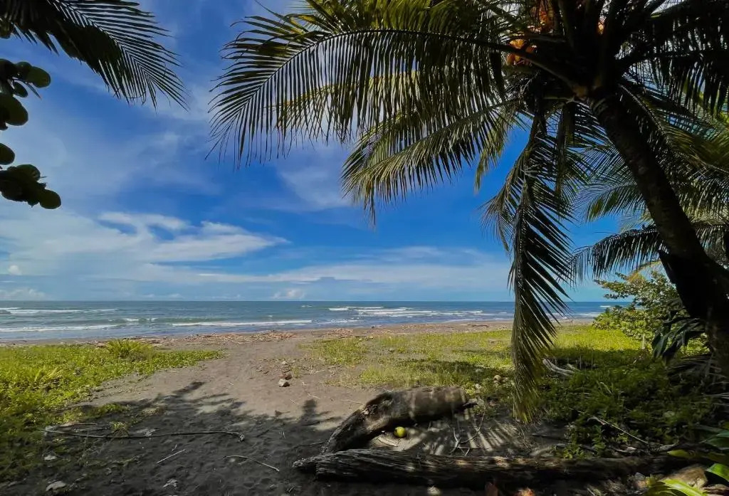 Hotel El Icaco Tortuguero