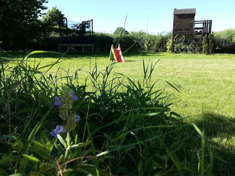 Les Plumes