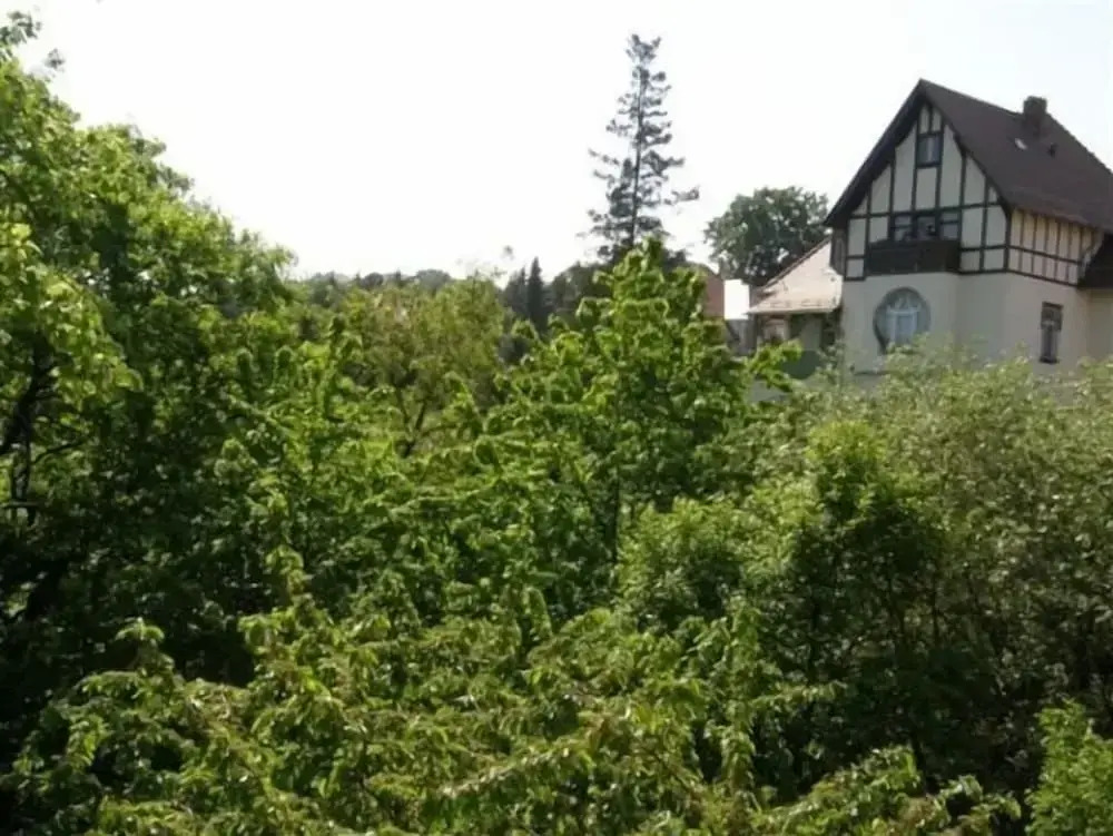 Villa Bellevue Dresden