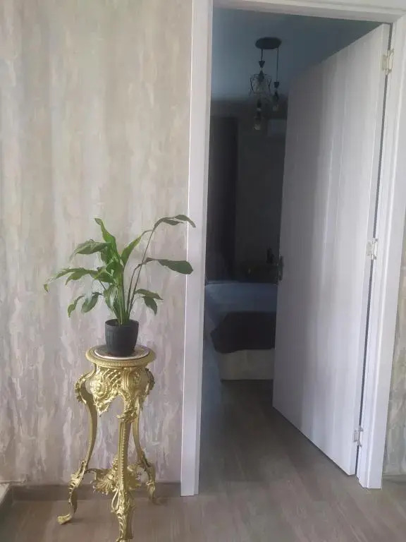 Guest House "Mtisubani"