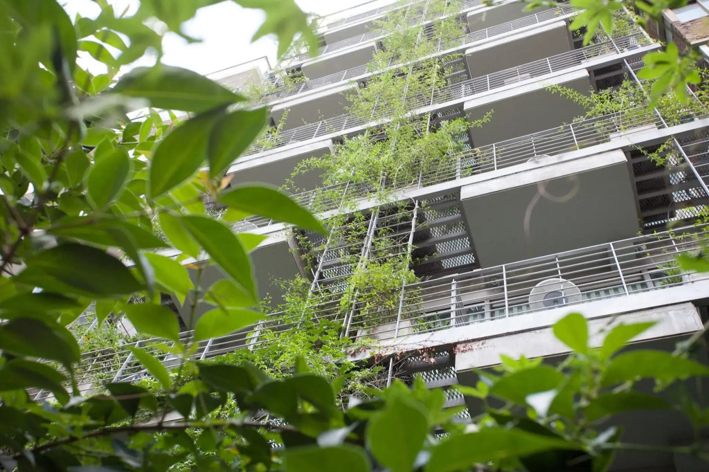 Palo Santo Hotel