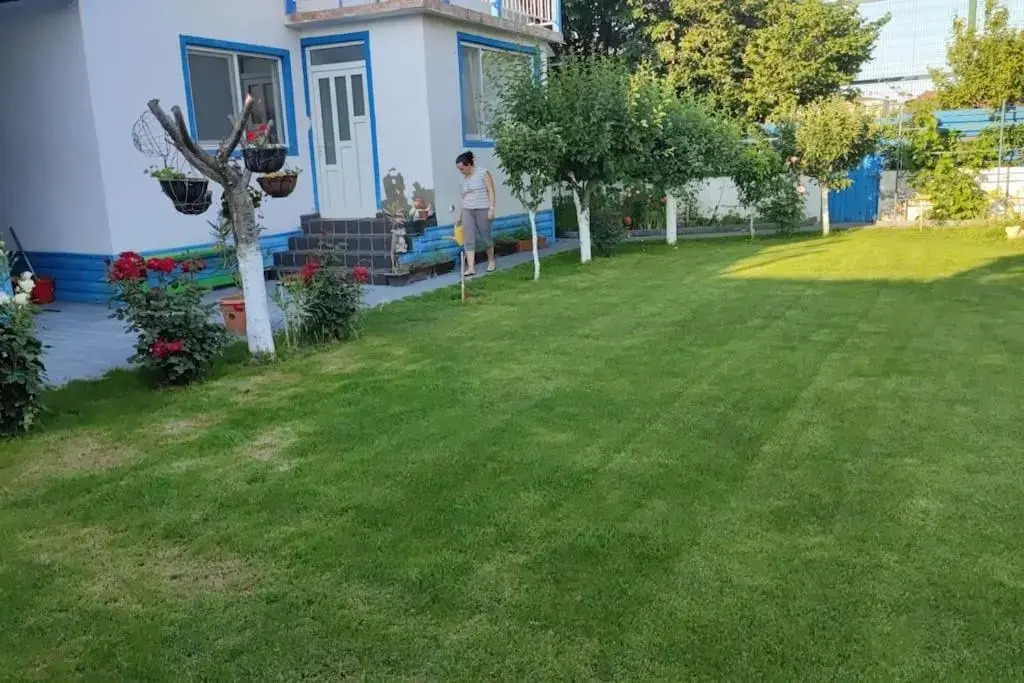 Kangen Center Dobrogea House