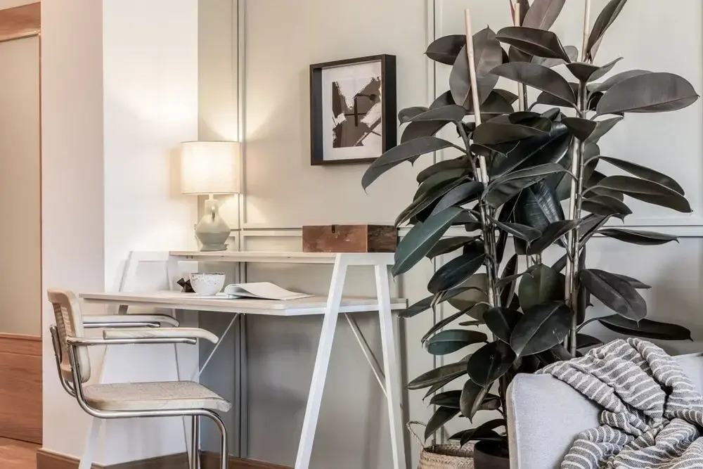 Vega - 2 Bedroom in Salamanca