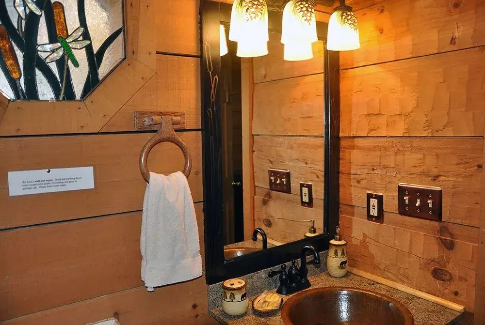 Mountain Bearadise 2 Bedrooms 2 Bathrooms Cabin