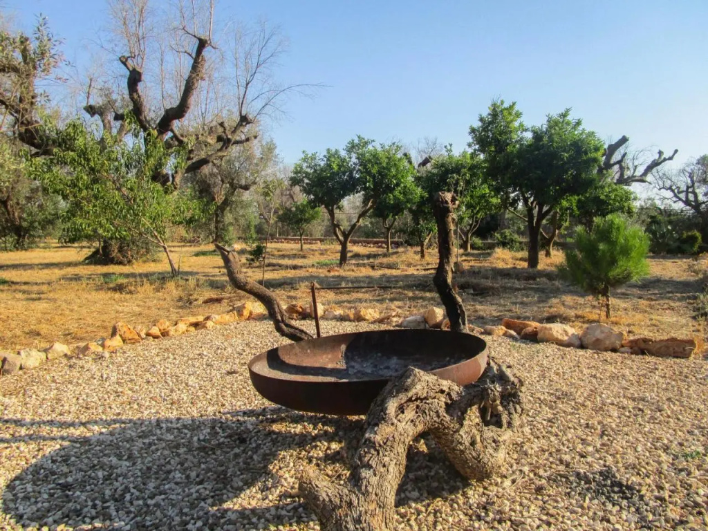 Il Campo