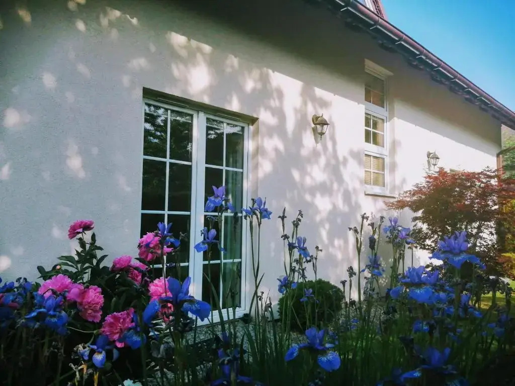 Molonówka Guest House