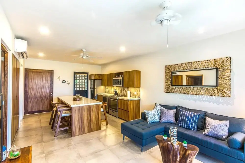 Agaves 204