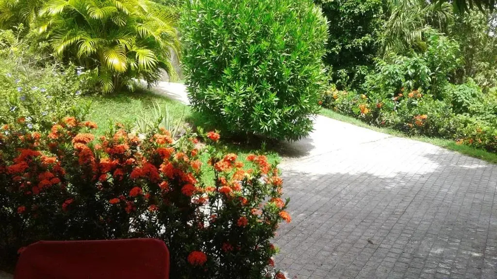 Maison d'une chambre avec vue sur la mer jardin amenage et wifi a Le Robert