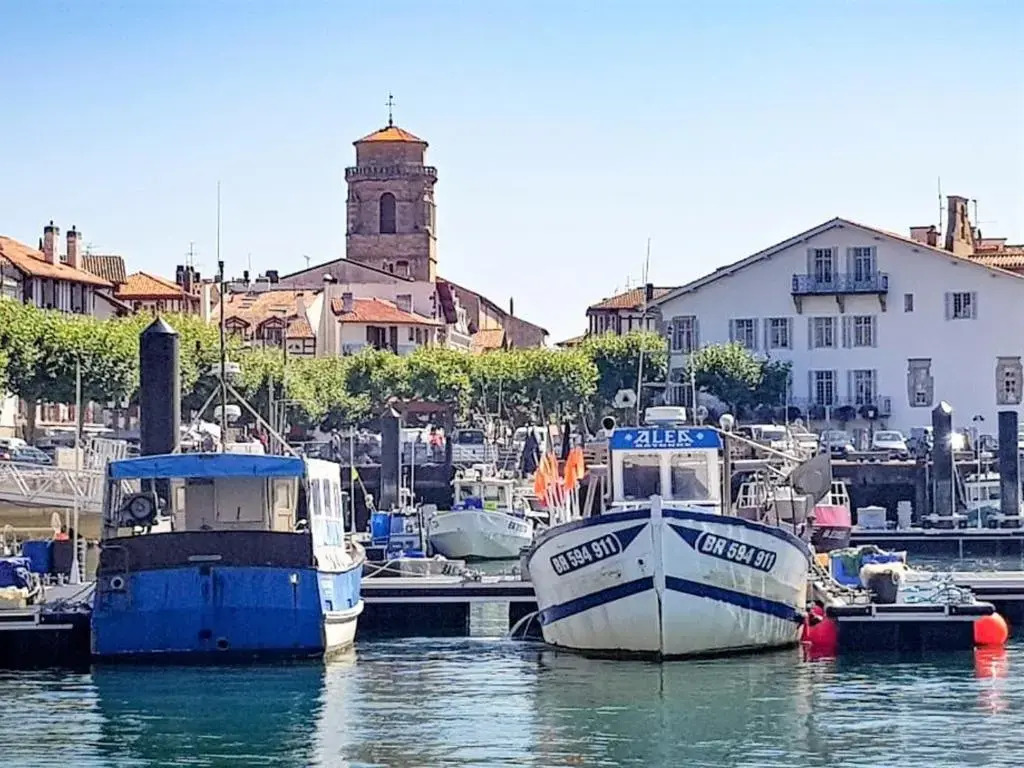 Studio Saint-Jean-de-Luz, 1 pièce, 4 personnes - FR-1-4-620