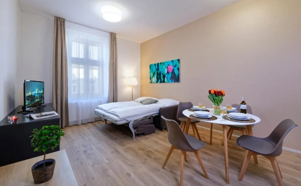 DownTown Suites Jugoslavska