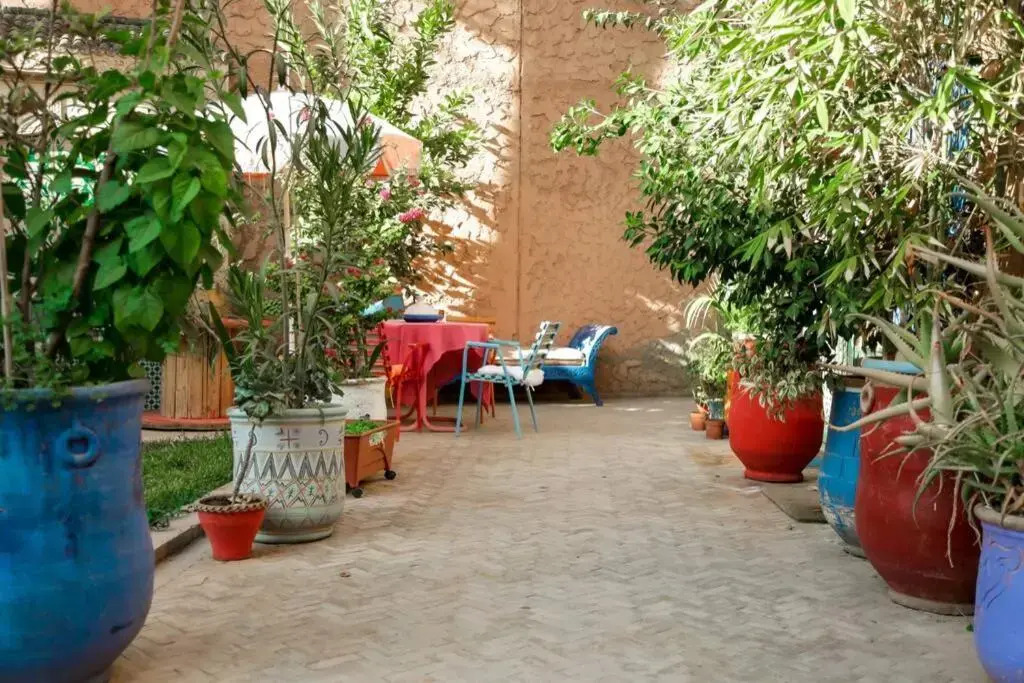 Riad Nizar