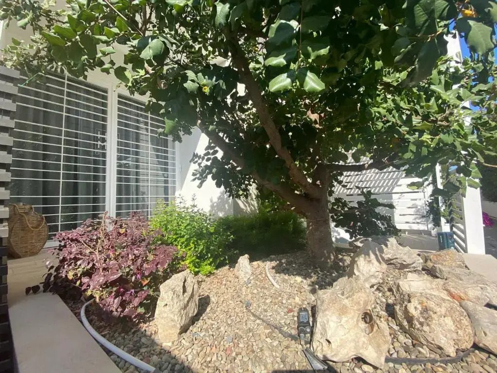 Suite Home3 bed