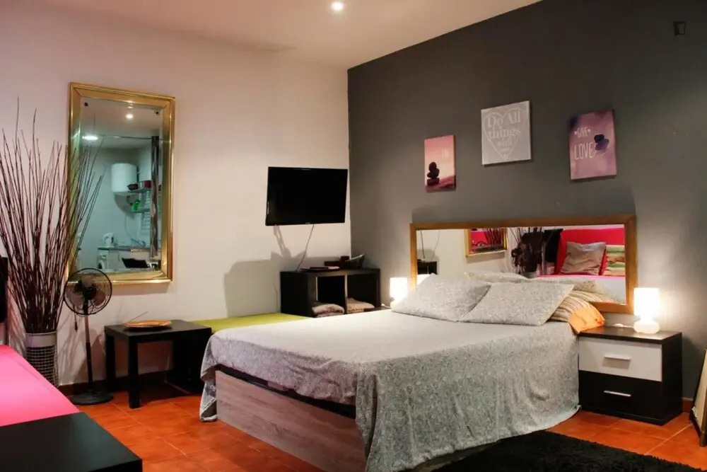 Studio in Madrid, With Wifi - 72 km From the Slopes