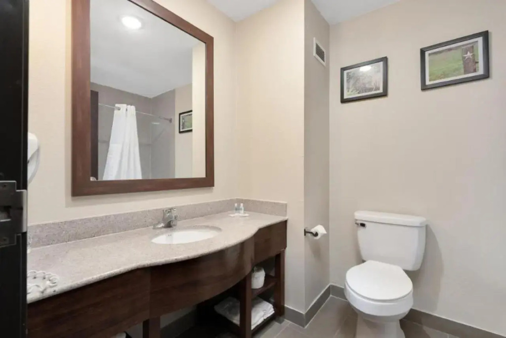 Comfort Suites University