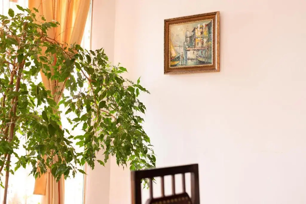 Celeste House Sibiu