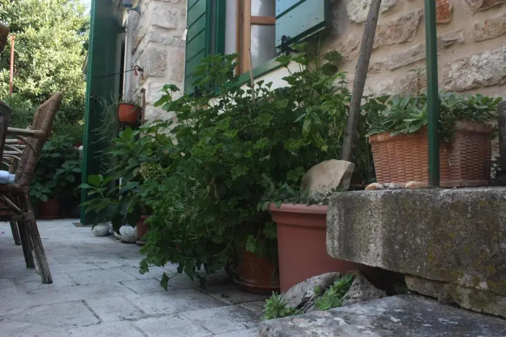 Guest House Lucijo
