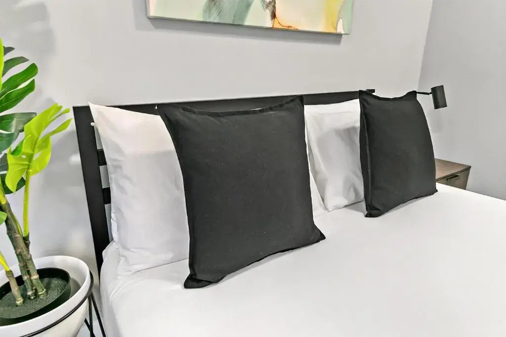 Comfy 1BR walk to Wellington 20min to Downtown
