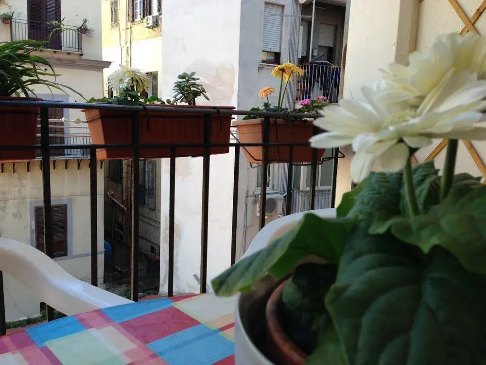 B&B SoleLuna della Solidarietà