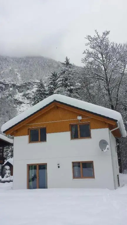 Apartment Obertraun