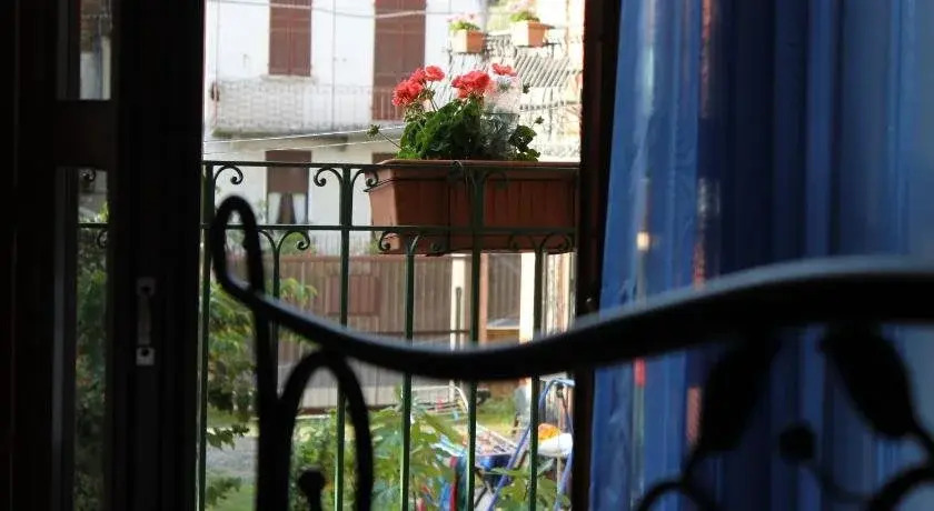 B&B Campino