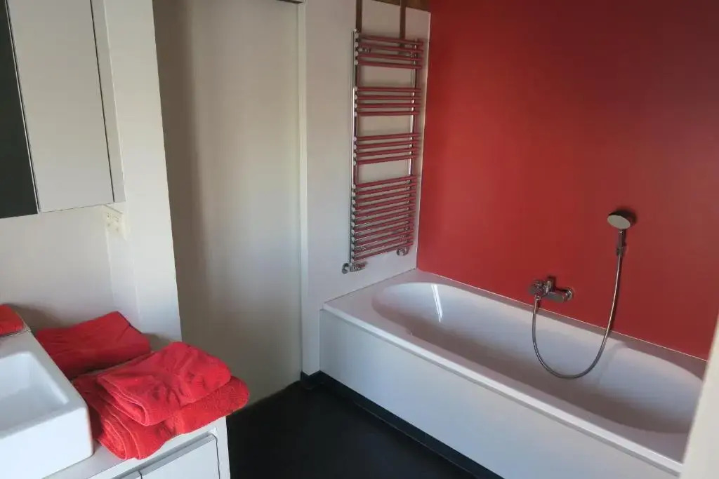 B&B / Studio De Druivelaar in hartje Kluisbergen