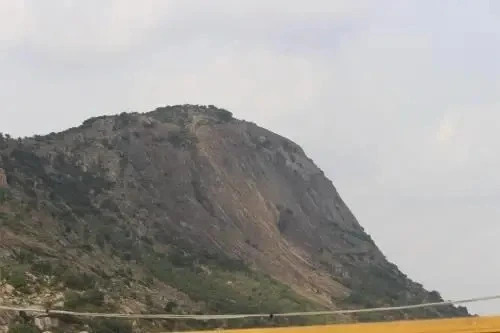 sinchanapalace