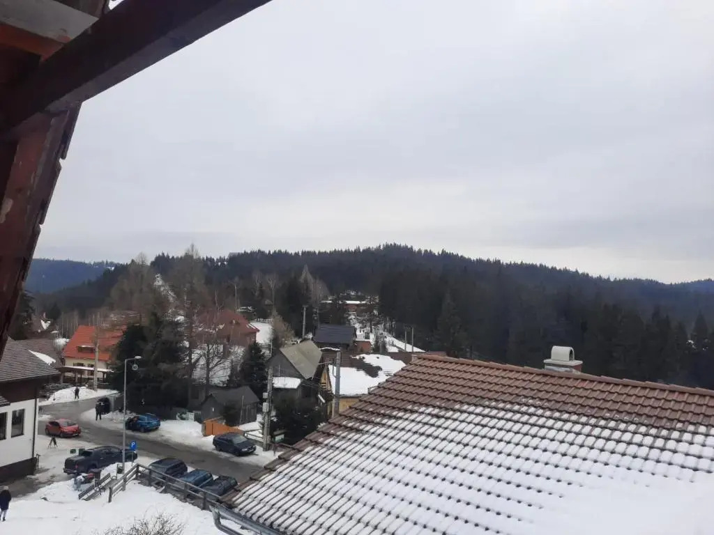 Antal Villa - 5mins to ski slope & 1min to skating