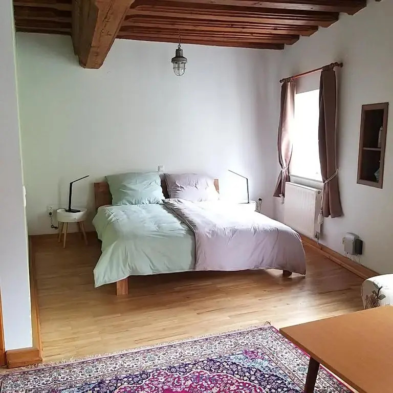 Apartment in Historic Town House