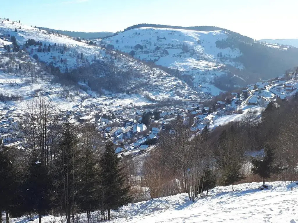 studio le panorama