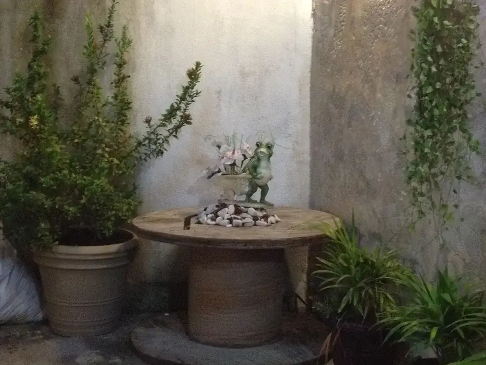 Hostal Casa Allende - Hostel
