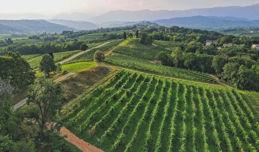 Tenuta Mani Sagge